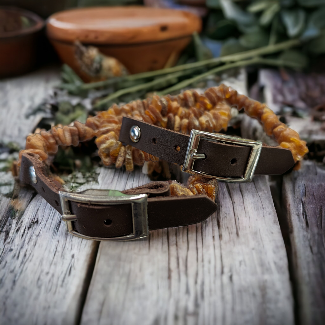 Amber collars hotsell