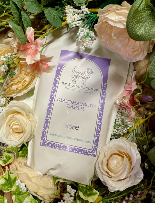 Diatomaceous Earth