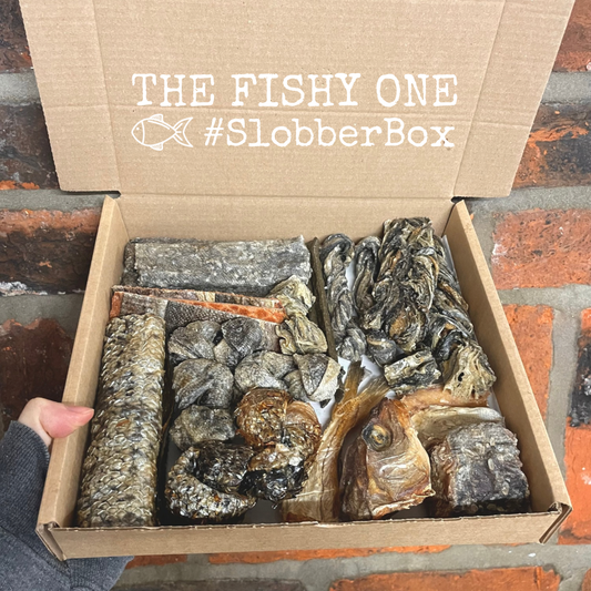 Treat Box - The Fishy One