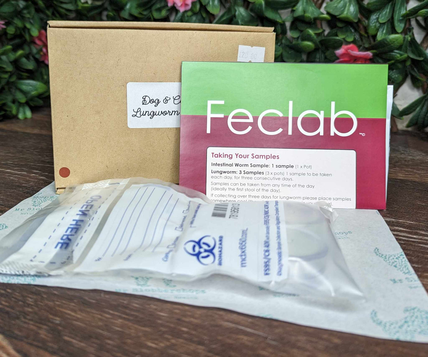 Feclab Lung Worm Kit